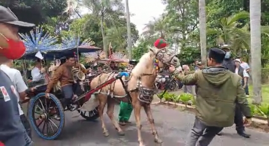 Andong Ditumpangi Anies Baswedan Kudanya Sempat Mogok, Tak Mau Maju