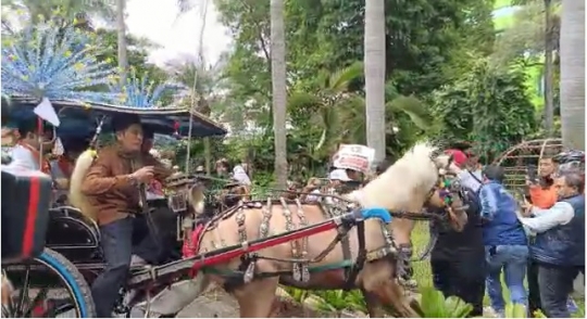 Andong Ditumpangi Anies Baswedan Kudanya Sempat Mogok, Tak Mau Maju