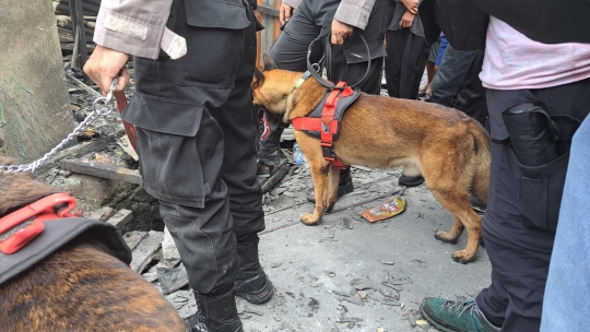 Aksi Anjing Pelacak K9 Cari Korban Kebakaran Depo Pertamina Plumpang