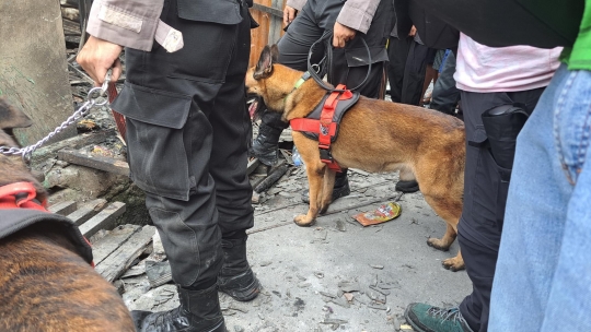 Aksi Anjing Pelacak K9 Cari Korban Kebakaran Depo Pertamina Plumpang