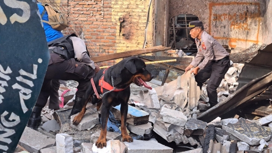 Aksi Anjing Pelacak K9 Cari Korban Kebakaran Depo Pertamina Plumpang