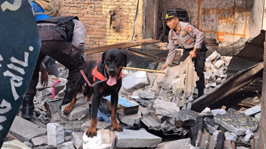 Aksi Anjing Pelacak K9 Cari Korban Kebakaran Depo Pertamina Plumpang