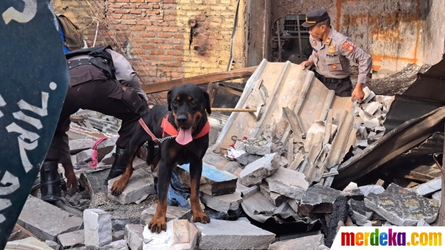 Foto Aksi Anjing Pelacak K Cari Korban Kebakaran Depo Pertamina