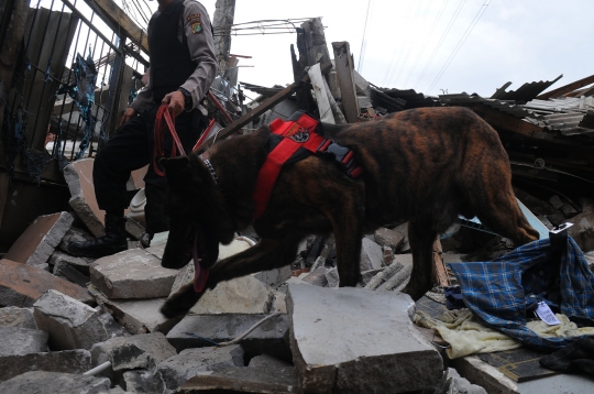 Perjuangan Anjing Pelacak K9 Mengendus Korban Kebakaran Depo Pertamina Plumpang