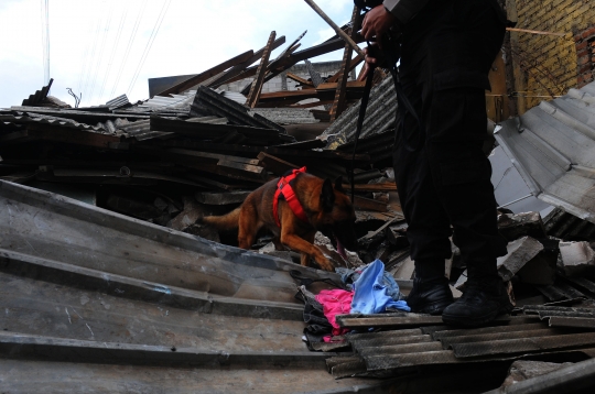 Perjuangan Anjing Pelacak K9 Mengendus Korban Kebakaran Depo Pertamina Plumpang