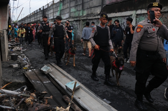 Perjuangan Anjing Pelacak K9 Mengendus Korban Kebakaran Depo Pertamina Plumpang