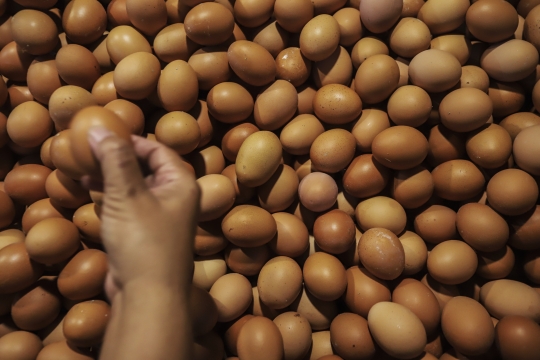 Permintaan Telur Ayam Mulai Naik Jelang Ramadan 2023