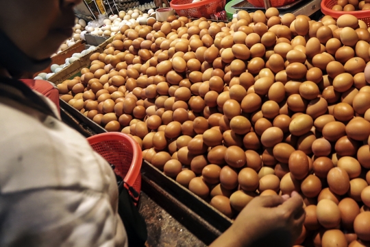 Permintaan Telur Ayam Mulai Naik Jelang Ramadan 2023