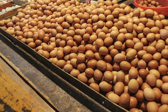 Permintaan Telur Ayam Mulai Naik Jelang Ramadan 2023