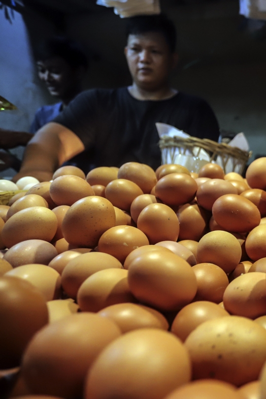 Permintaan Telur Ayam Mulai Naik Jelang Ramadan 2023