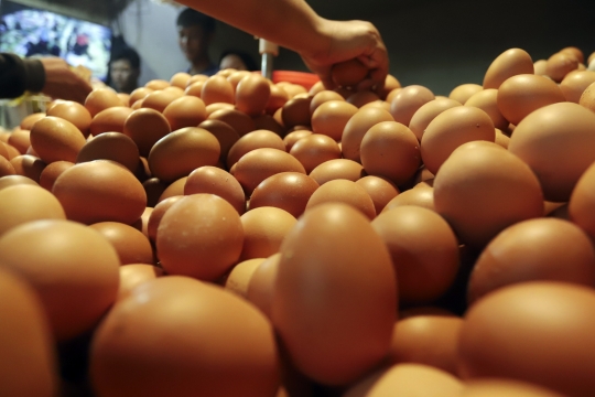 Permintaan Telur Ayam Mulai Naik Jelang Ramadan 2023