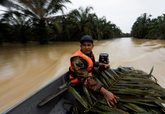 Relawan Ini Tanpa Lelah Selamatkan Hewan Ternak dan Kucing dari Banjir Parah Malaysia