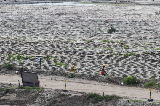 Melihat Tanah Pelindo yang Jadi Relokasi Depo Pertamina Plumpang di NPCT 2