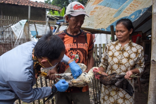 Cegah Penularan Flu Burung, Ratusan Unggas di Cimahi Divaksin