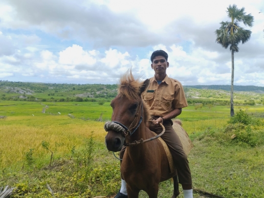 Potret Perjuangan Siswa di NTT Menuju Sekolah, Menunggang Kuda Sejauh 8 Km