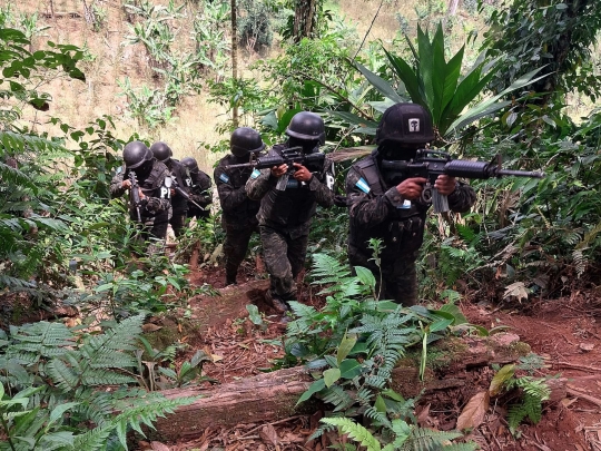 Polisi Militer Honduras Menembus Hutan Temukan 88 Hektar Perkebunan Penghasil Kokain