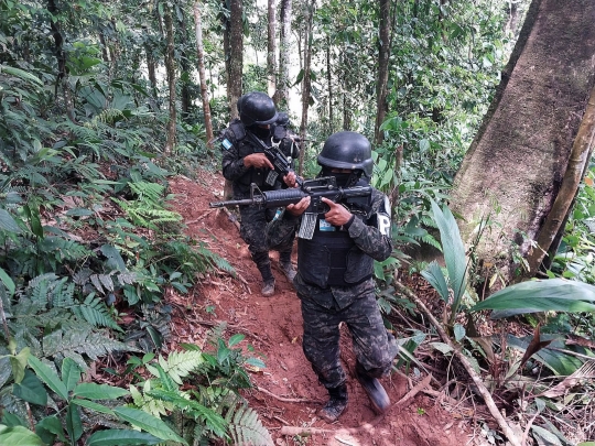 Polisi Militer Honduras Menembus Hutan Temukan 88 Hektar Perkebunan Penghasil Kokain