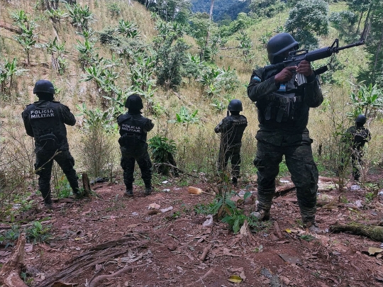 Polisi Militer Honduras Menembus Hutan Temukan 88 Hektar Perkebunan Penghasil Kokain