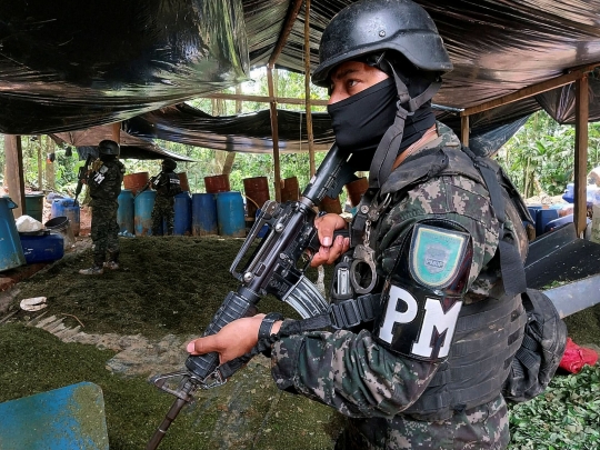 Polisi Militer Honduras Menembus Hutan Temukan 88 Hektar Perkebunan Penghasil Kokain