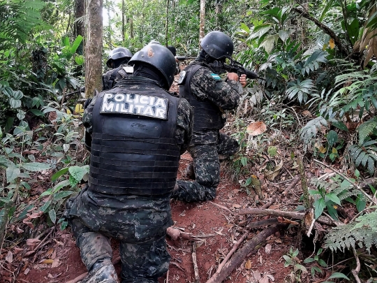 Polisi Militer Honduras Menembus Hutan Temukan 88 Hektar Perkebunan Penghasil Kokain