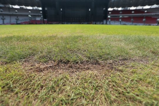 Kondisi Rumput SUGBK yang Rusak Setelah Dipakai Acara Konser Besar