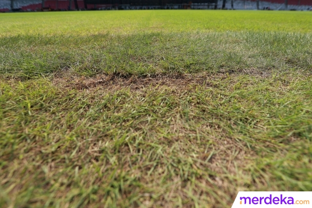 Kondisi rumput tampak botak dan mengering di Stadion Utama Gelora Bung Karno (SUGBK), Senin (13/3/2023).