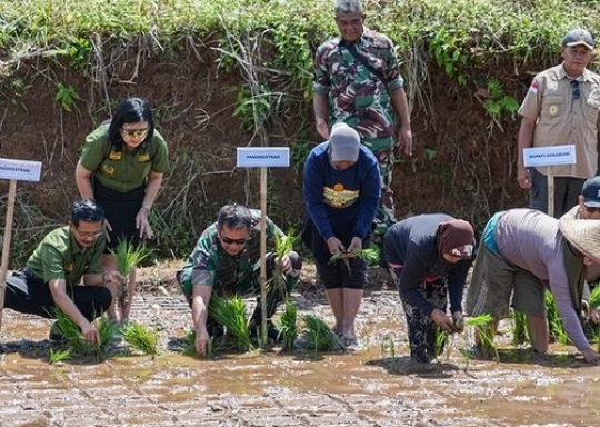 Gagah Berseragam Loreng, Momen Letjen Maruli Simanjuntak Turun ke Sawah Tanam Padi