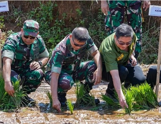 Gagah Berseragam Loreng, Momen Letjen Maruli Simanjuntak Turun ke Sawah Tanam Padi