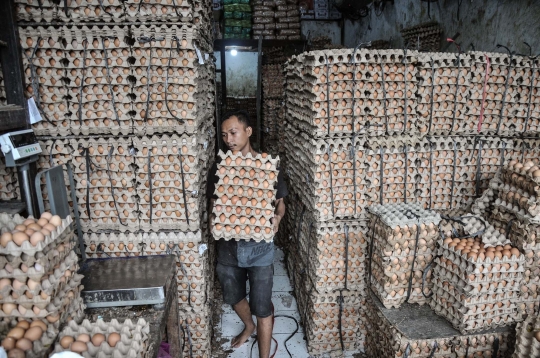 Jelang Ramadan, Harga Telur Ayam Merangkak Naik