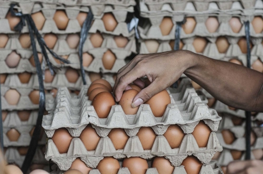 Jelang Ramadan, Harga Telur Ayam Merangkak Naik