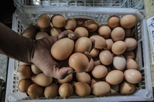 Jelang Ramadan, Harga Telur Ayam Merangkak Naik