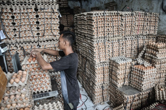 Jelang Ramadan, Harga Telur Ayam Merangkak Naik