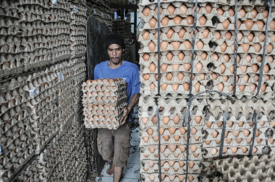 Jelang Ramadan, Harga Telur Ayam Merangkak Naik