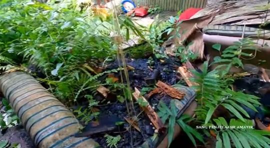 Potret Rumah Mewah Tanpa Penghuni, Mangkrak & Banyak Barang Klasik Tertinggal