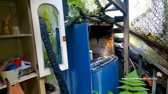 Potret Rumah Mewah Tanpa Penghuni, Mangkrak & Banyak Barang Klasik Tertinggal