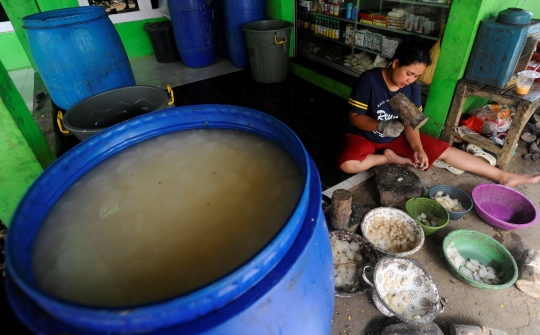 Jelang Ramadan, Warga Mulai Mengolah Buah Atap Jadi Kolang Kaling