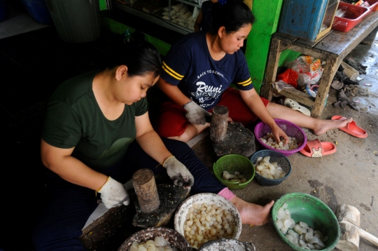 Jelang Ramadan, Warga Mulai Mengolah Buah Atap Jadi Kolang Kaling