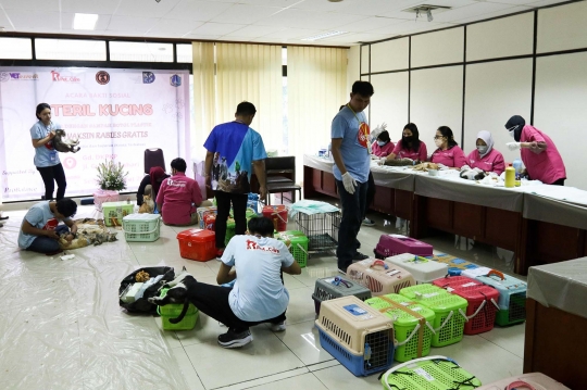 Tekan Populasi, Dinas KPKP Jakarta Sterilisasi Ratusan Kucing