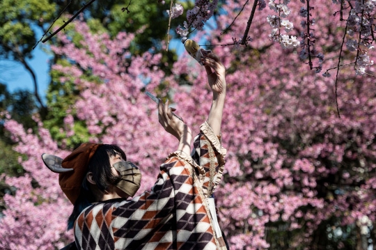 Dampak Perubahan Iklim, Bunga Sakura di Tokyo Mekar Lebih Awal