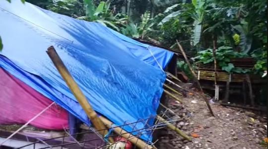 Nasib Teh Ika Janda Cantik Pasca Gempa di Cianjur, Potret Rumahnya Memprihatinkan
