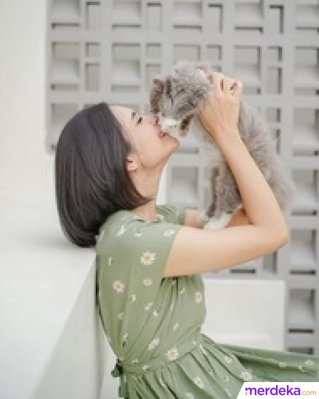 Melalui unggahan di Instagram pribadinya @sefinnnn, polwan berpangkat Brigadir Polisi Satu (Briptu) itu kerap membagikan momen kebersamaan dirinya dengan kucing kesayangannya.