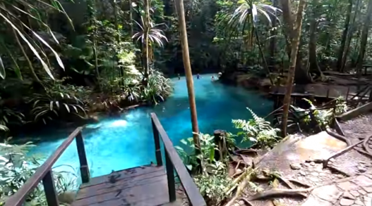 Intip Keindahan Sungai Kali Biru di Pedalaman Papua, Airnya Biru Jernih & Masih Asri