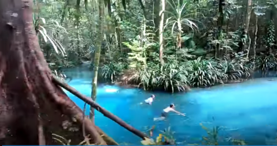 Intip Keindahan Sungai Kali Biru di Pedalaman Papua, Airnya Biru Jernih & Masih Asri