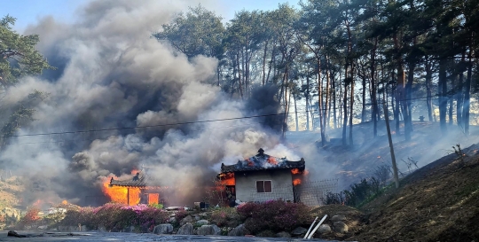 Ganasnya Kebakaran Hutan di Korsel, Puluhan Rumah Ludes dan Ratusan Orang Dievakuasi