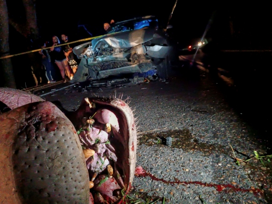 Nasib Nahas Kuda Nil Keturunan 'Pablo Escobar' Tertabrak Mobil di Kolombia