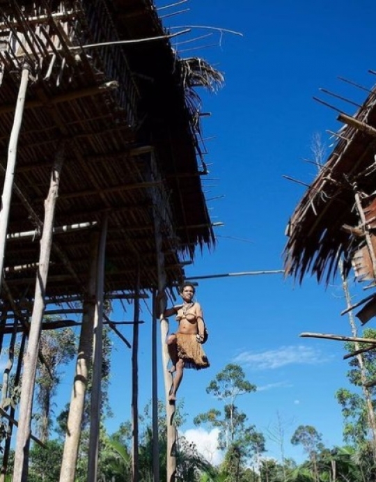 Intip Tradisi Suku Karowai Bangun Rumah di Atas Pohon Tinggi, Ini Kepercayaannya