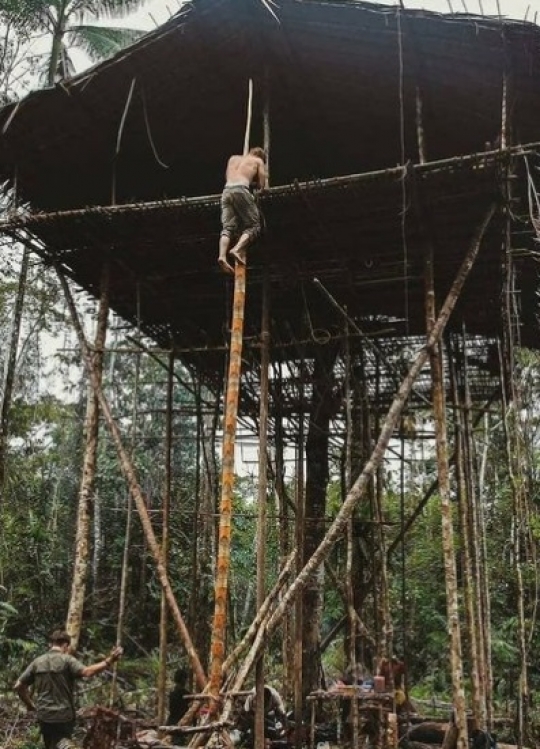 Intip Tradisi Suku Karowai Bangun Rumah di Atas Pohon Tinggi, Ini Kepercayaannya