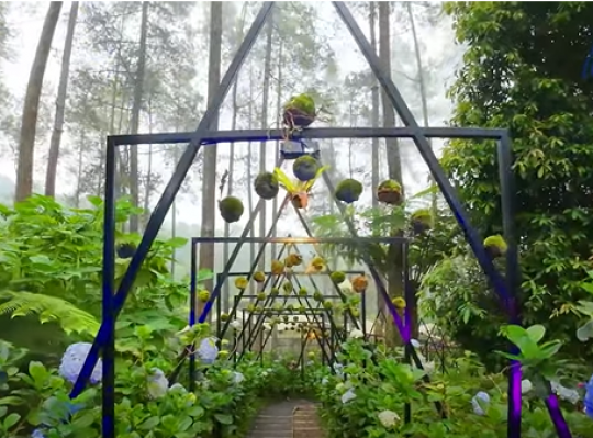 Wisata Seru Bukan Main di Golden Pine Orchid Forest Bandung, Ini Pesonanya