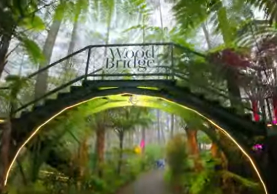 Wisata Seru Bukan Main di Golden Pine Orchid Forest Bandung, Ini Pesonanya