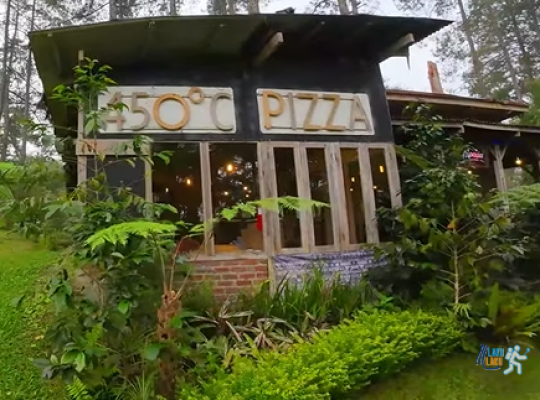 Wisata Seru Bukan Main di Golden Pine Orchid Forest Bandung, Ini Pesonanya